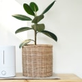 Hepa vs Ionic: Which Air Purifier is Better?